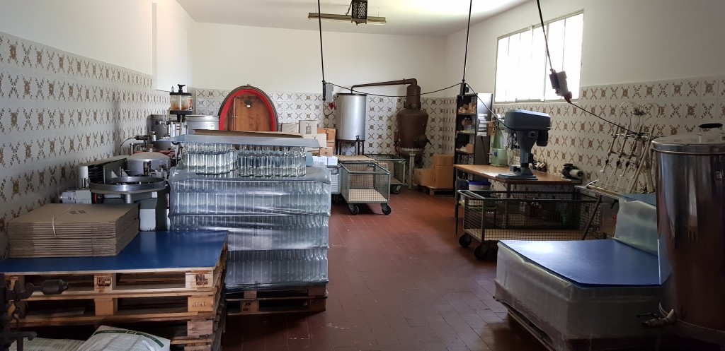 Kleine Likörfabrik in Lari/ Toscana