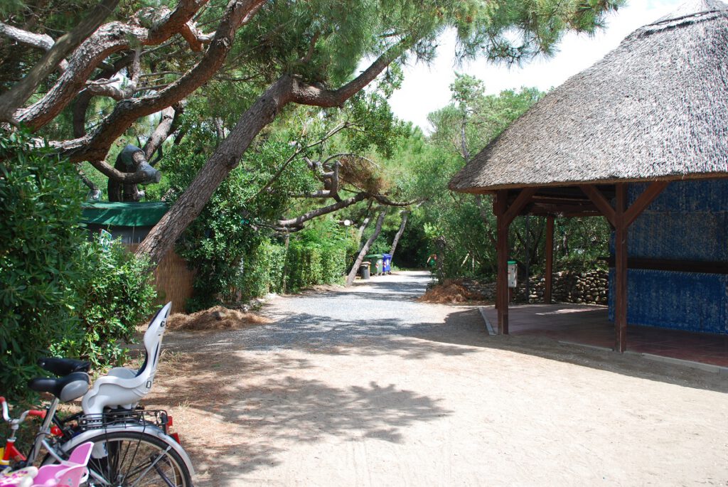 Campingplatz im Pinienwald Toskana