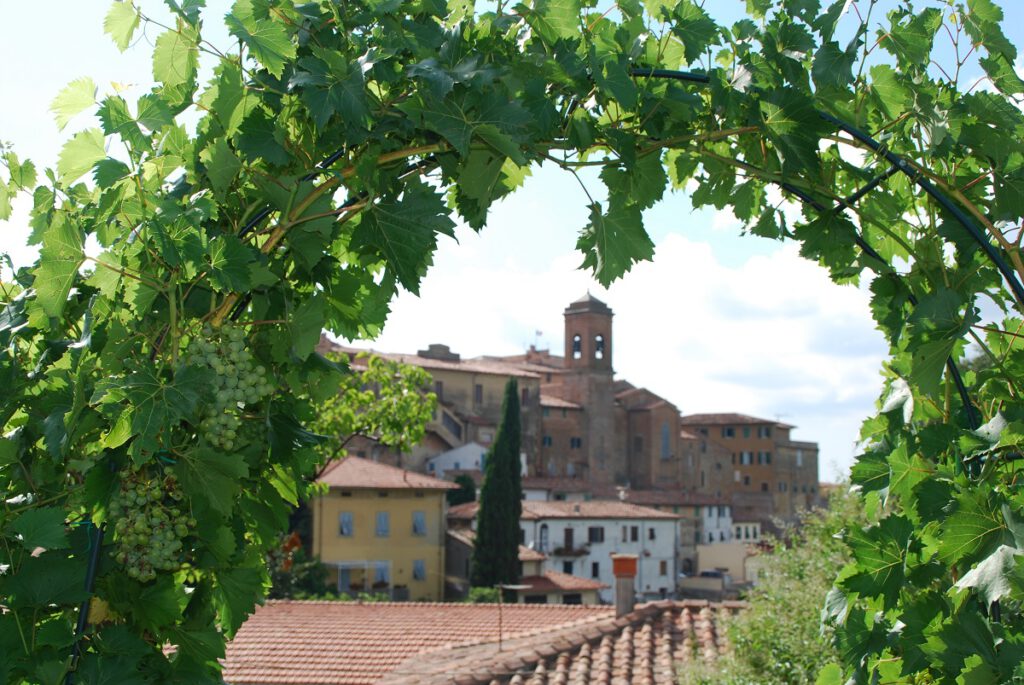 Toskana Weinernte