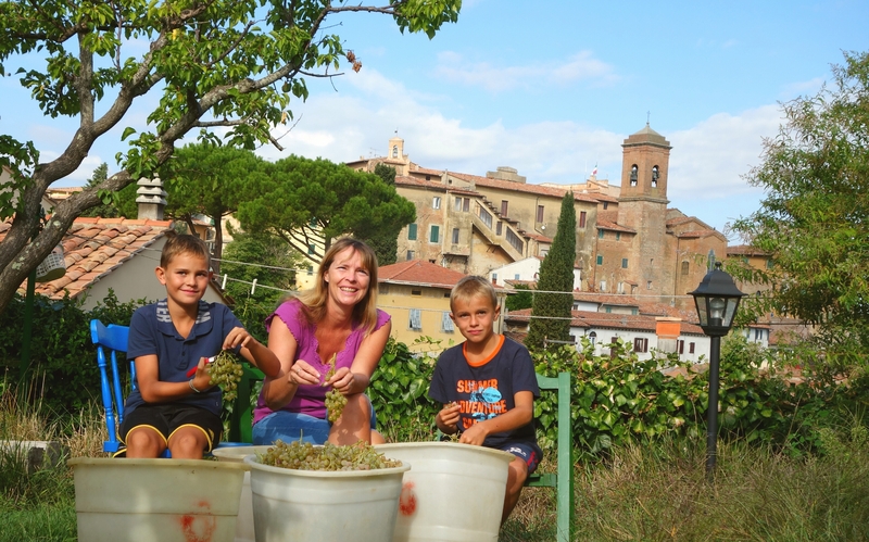 Weinernte mit Kristina Schmidt unter dem Castello in Lari