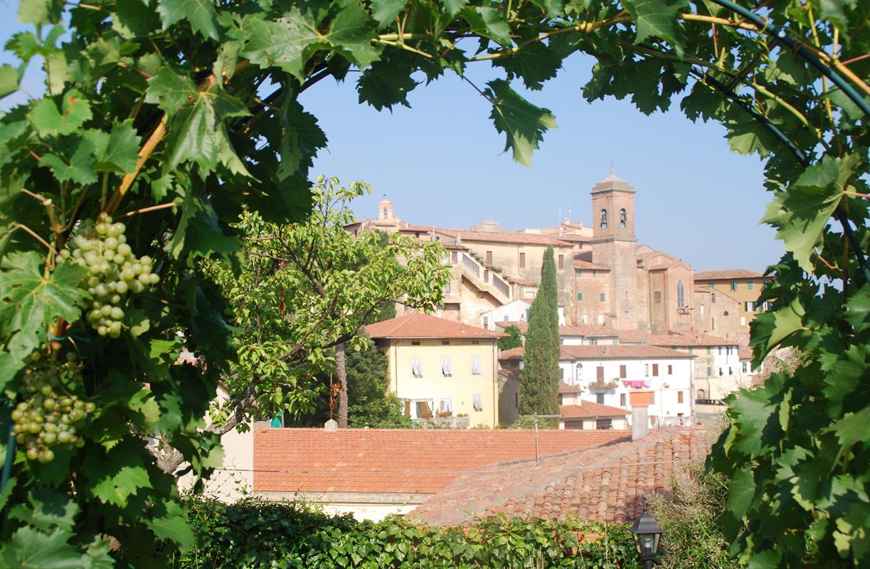 Blick auf die Altstadt von Lari