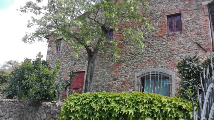 Rustico mit Weinkeller, schöner Sicht, Olivenhain und Land zu weniger als 800 Euro/m²