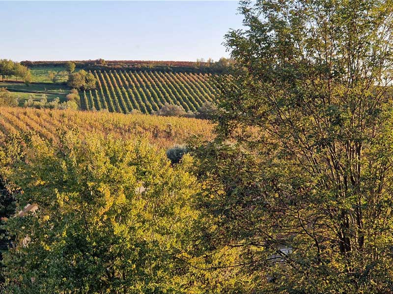Umgebung von Lari Casciana Terme im Herbstlicht