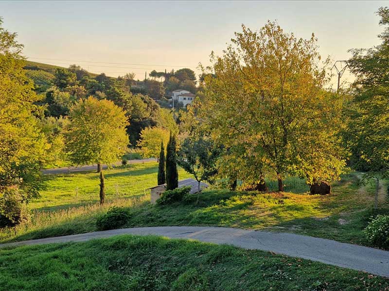 Umgebung von Lari Casciana Terme im Herbstlicht