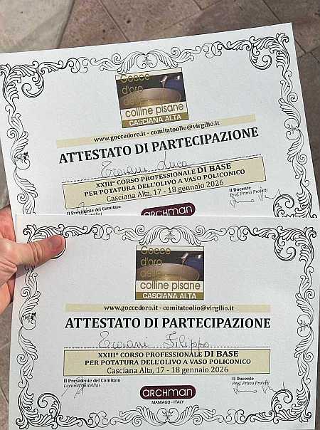 Teilnahme-Urkunde für einen Kurs zum fachgerechten Schneiden von Olivenbäumen